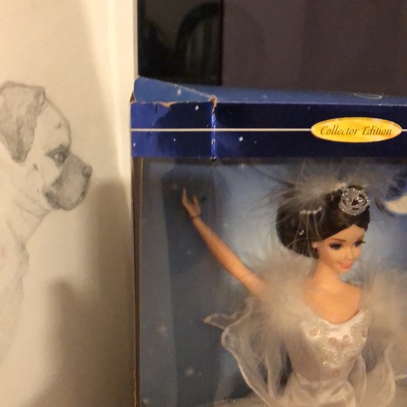 Barbie the Swan Queen in Swam Lake - Picture 4 of 8